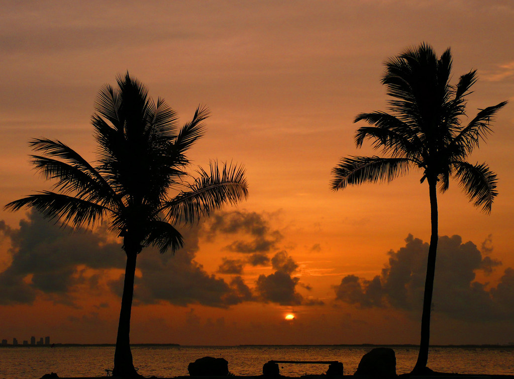 Scenic view of the water and coastline of Biscayne Bay